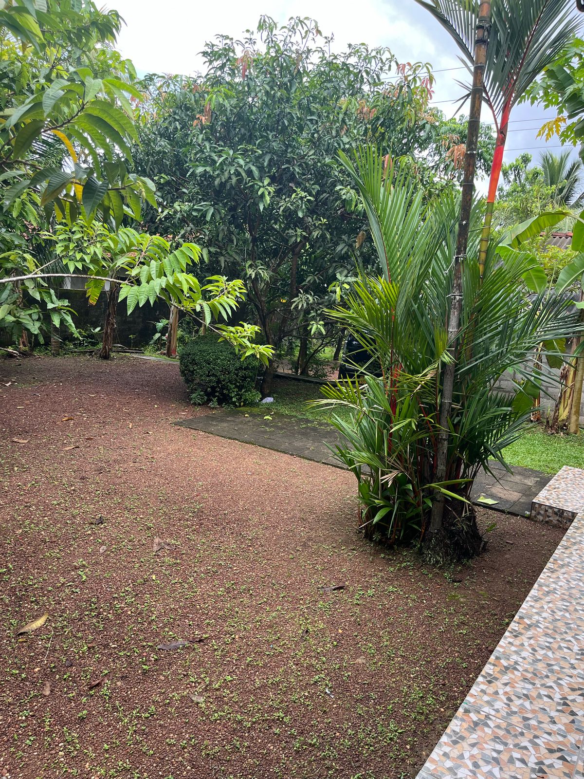 Houses Sale in Makola