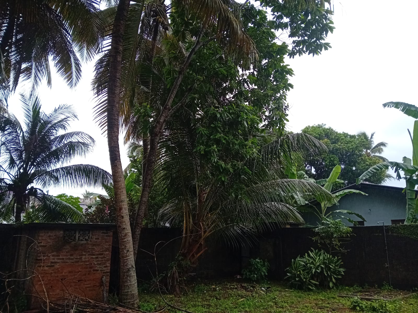 නිවසක් විකිනිමට – බලපිටිය