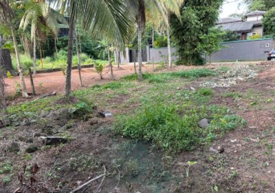 Land for Sale in Delgoda,Udupila