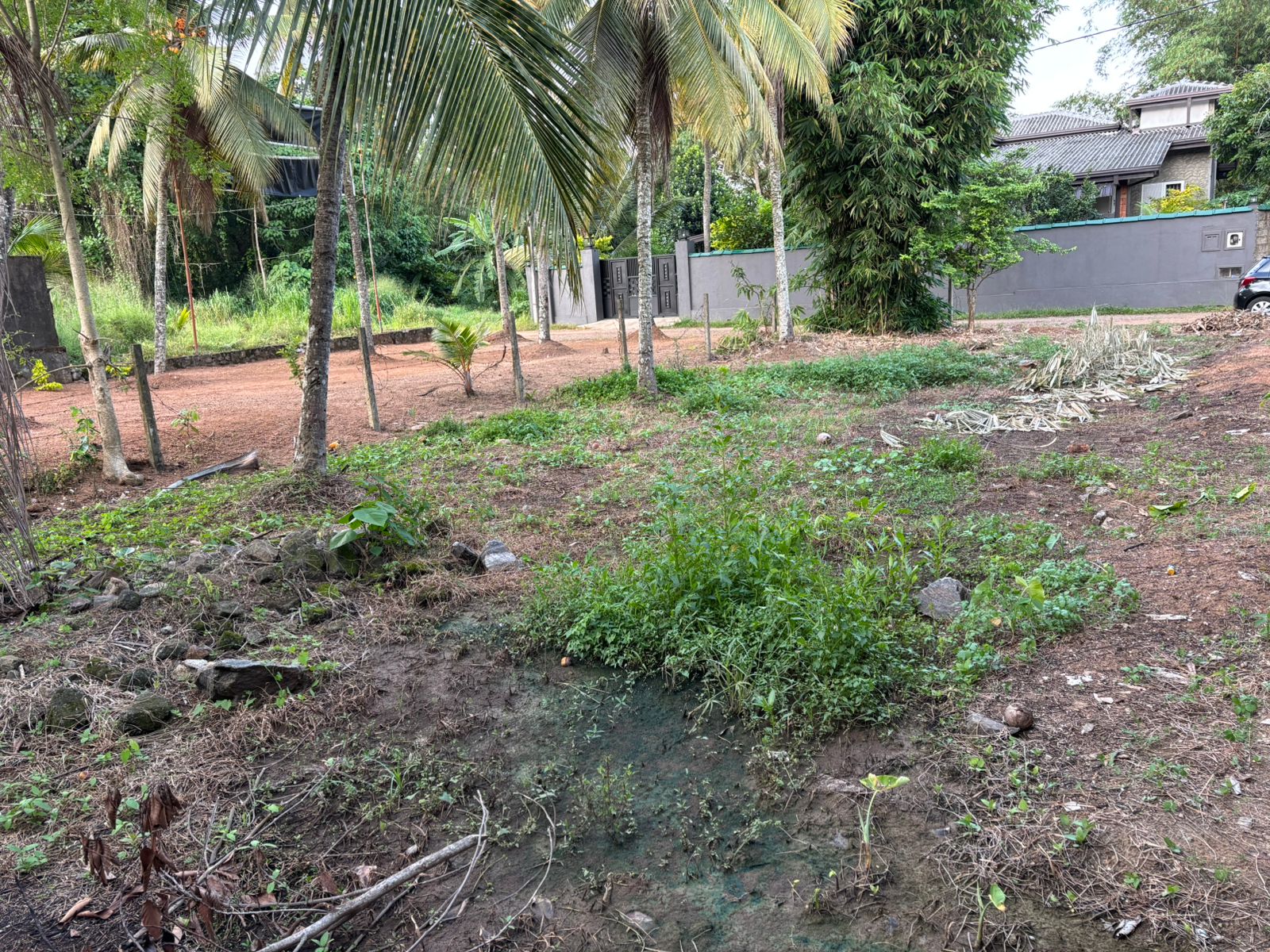 Land for Sale in Delgoda,Udupila