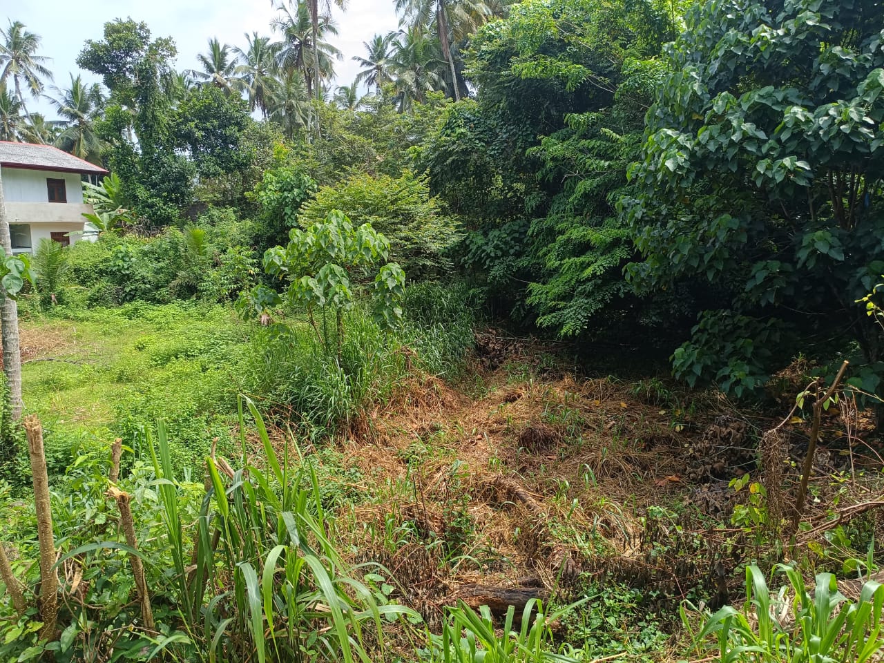 Land for Sale in Kadawatha