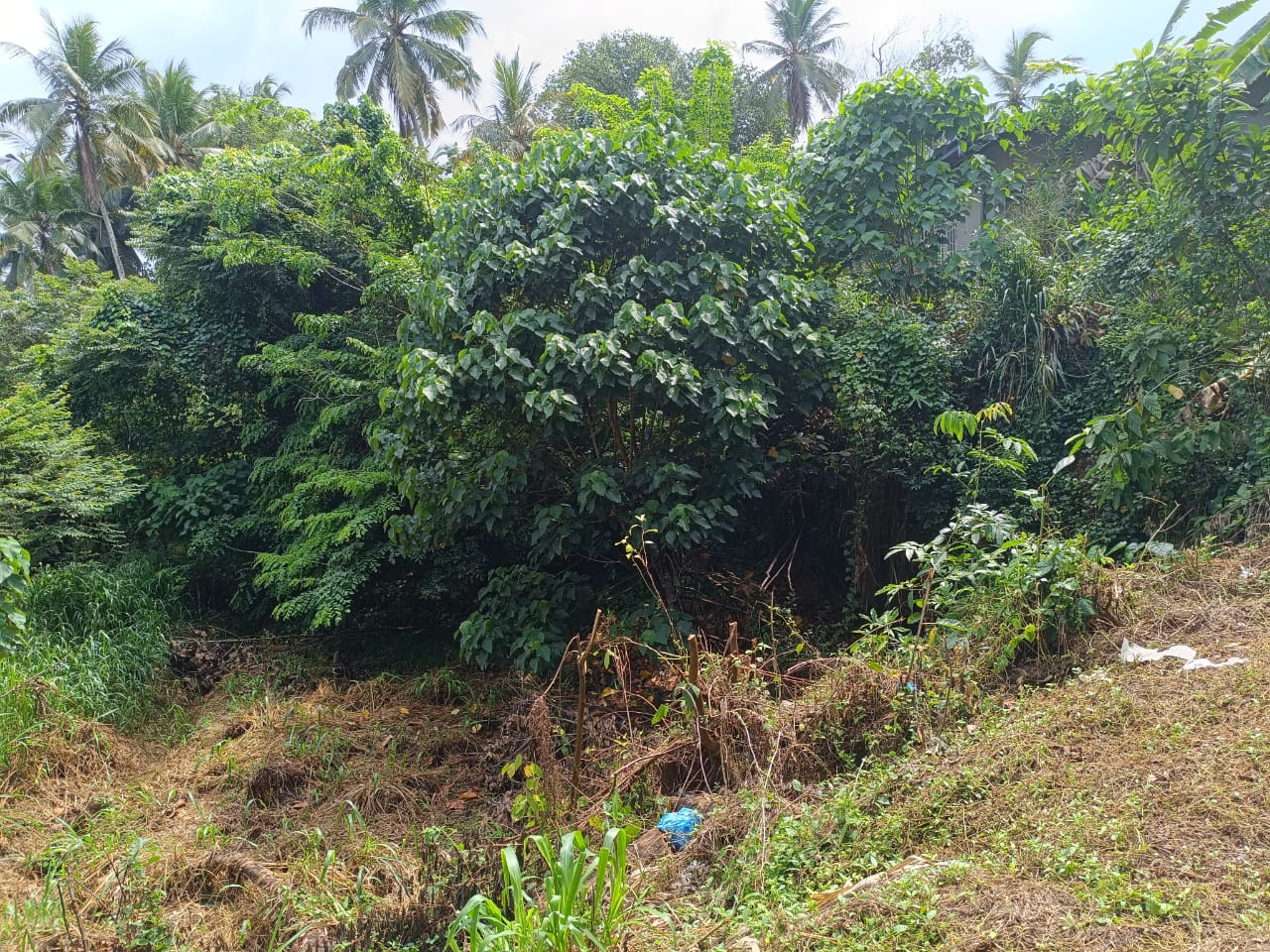 Land for Sale in Kadawatha