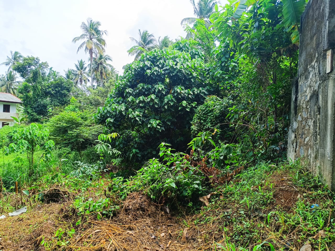 Land for Sale in Kadawatha