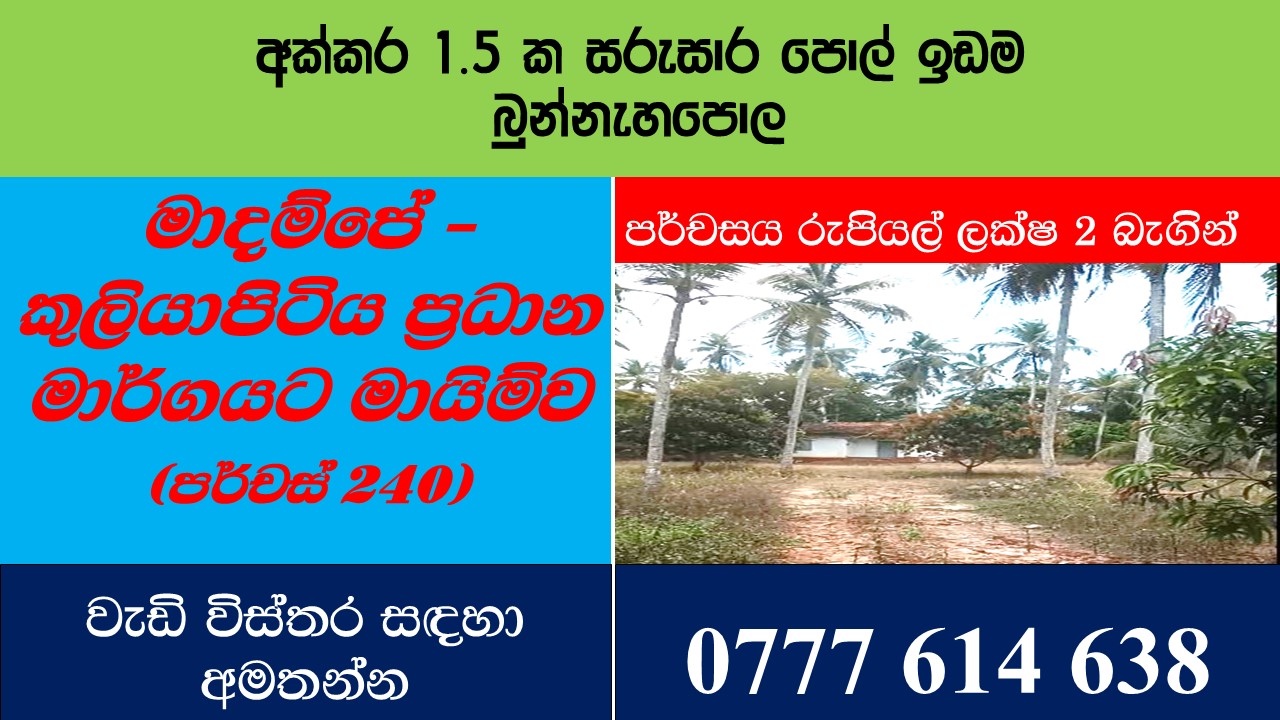 බුන්නැහපොල සරුසාර පොල් ඉඩමක් විකිණීමට ඇත.