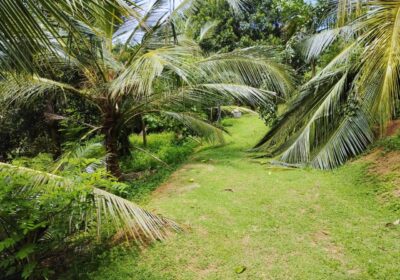 Land For Sale In Kalutara
