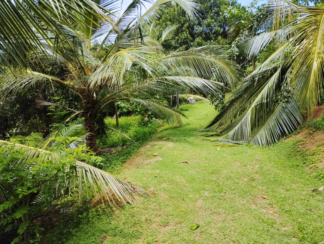 Land For Sale In Kalutara
