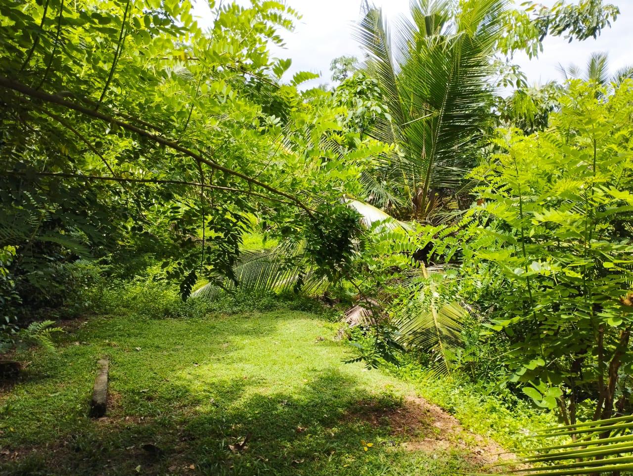 Land For Sale In Kalutara