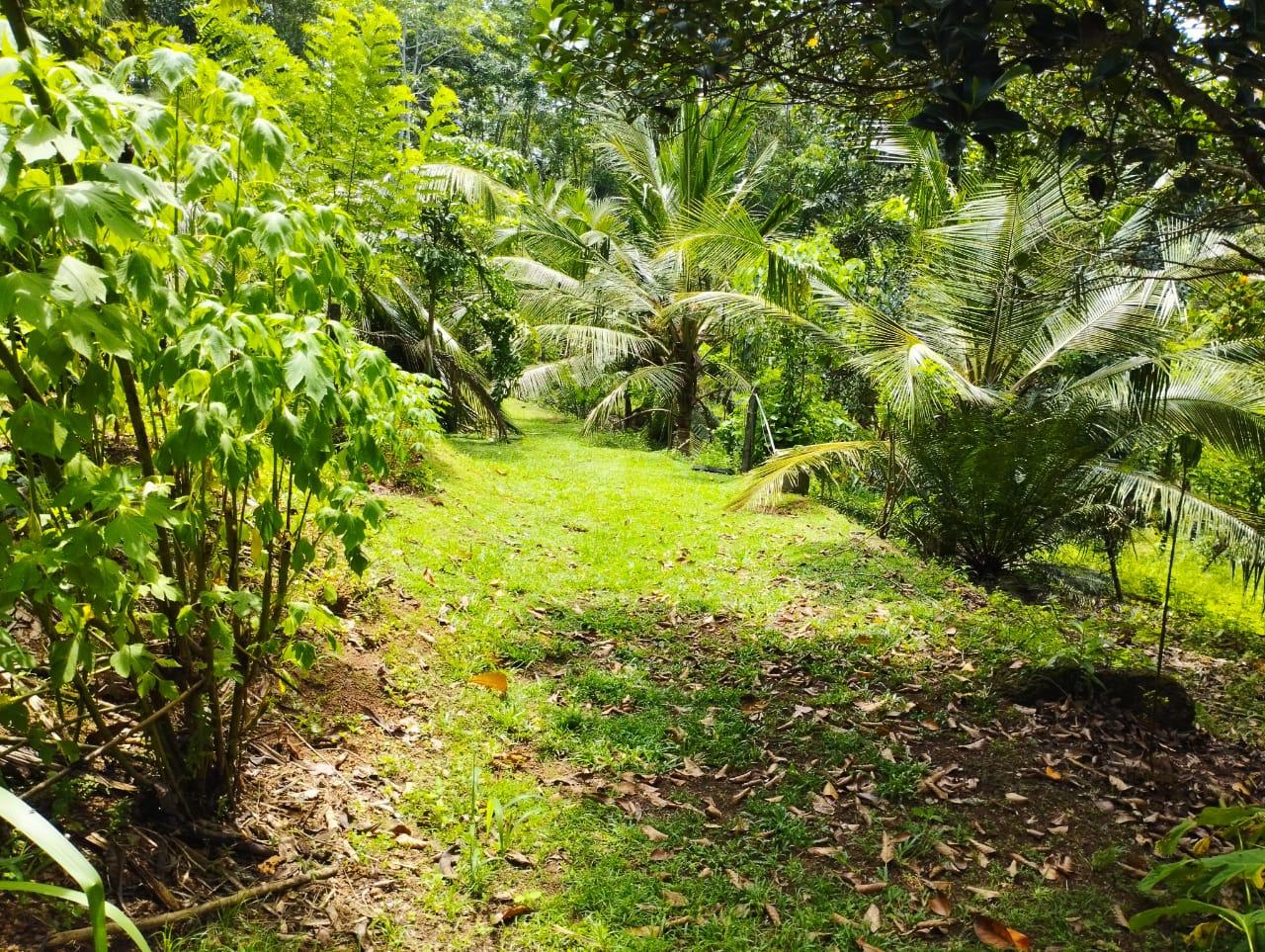 Land For Sale In Kalutara