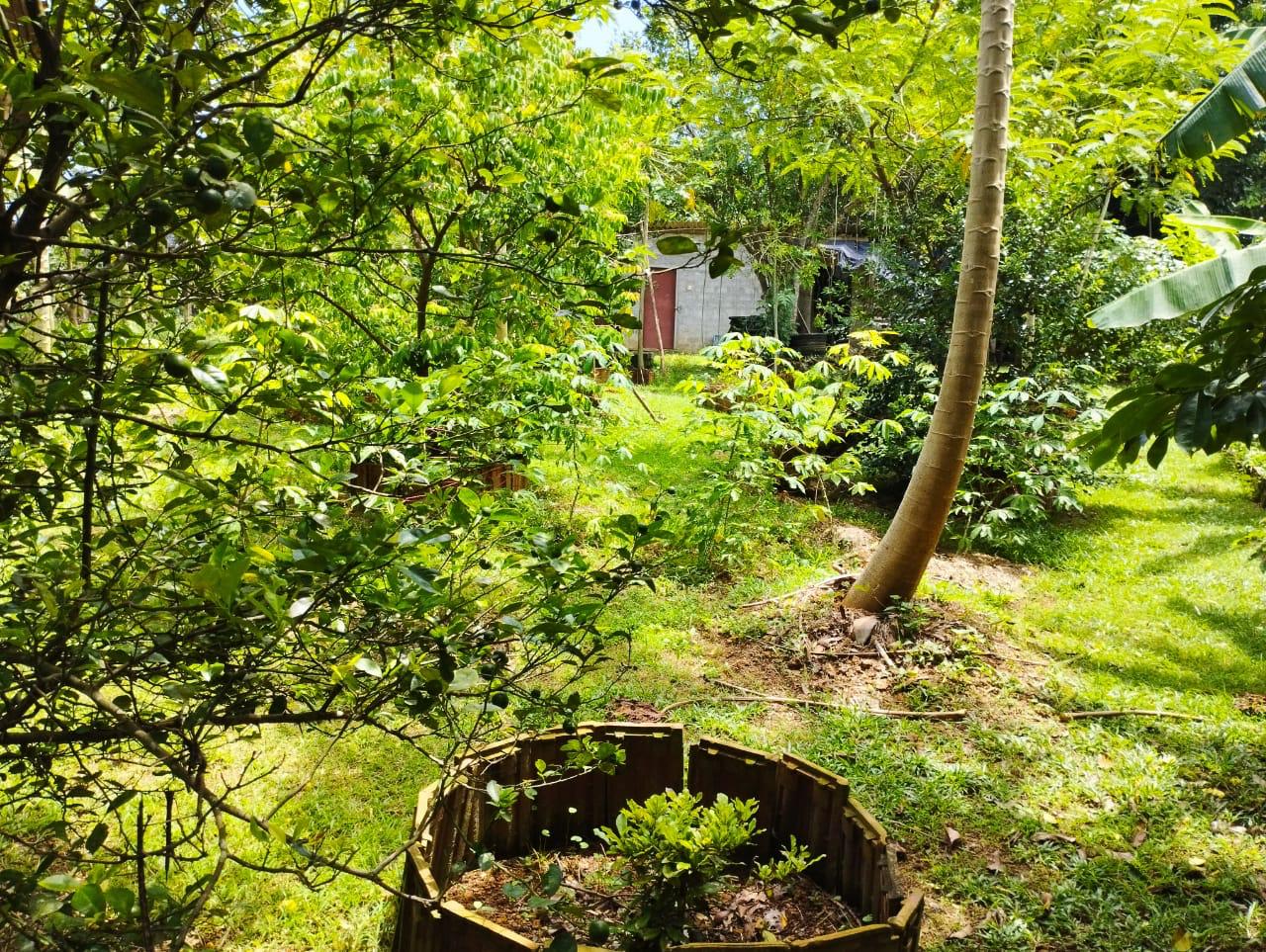 Land For Sale In Kalutara