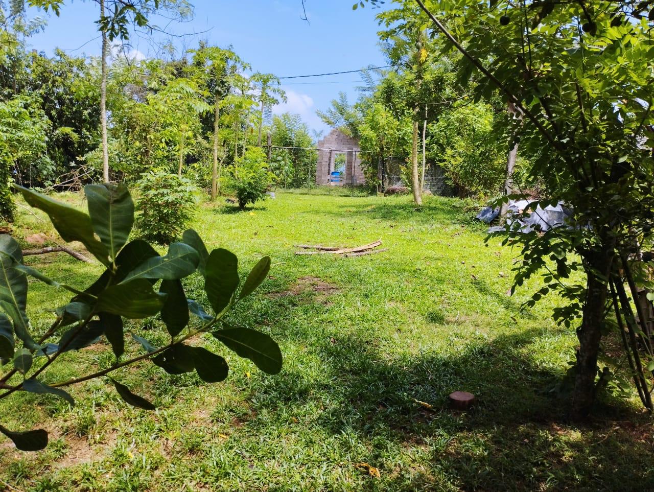 Land For Sale In Kalutara