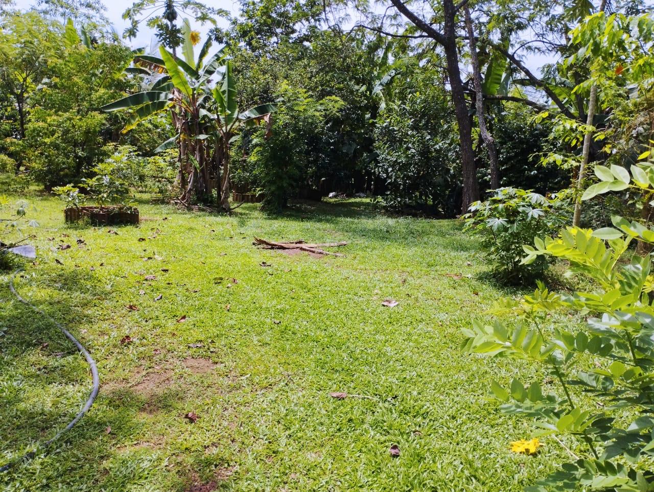 Land For Sale In Kalutara