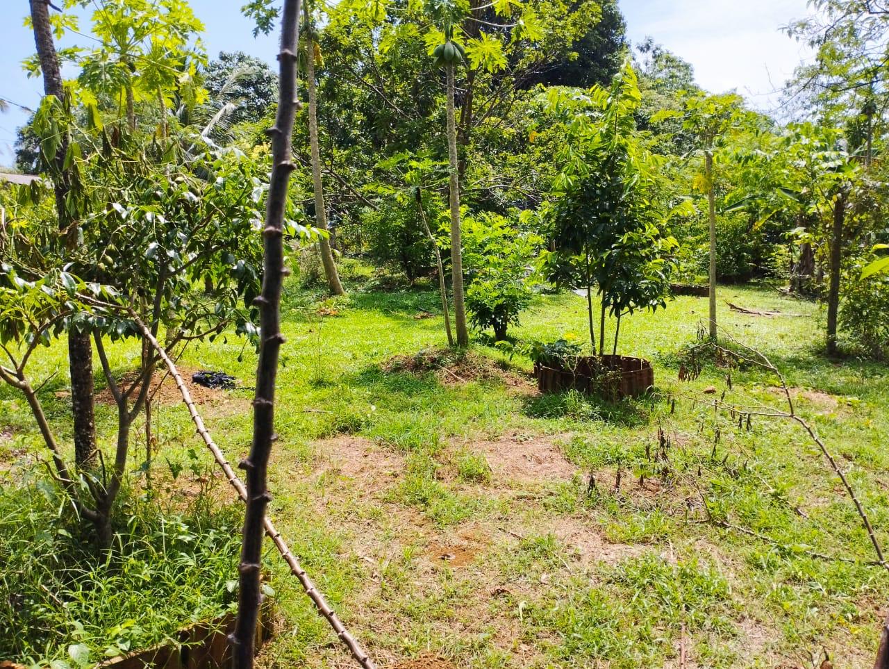Land For Sale In Kalutara