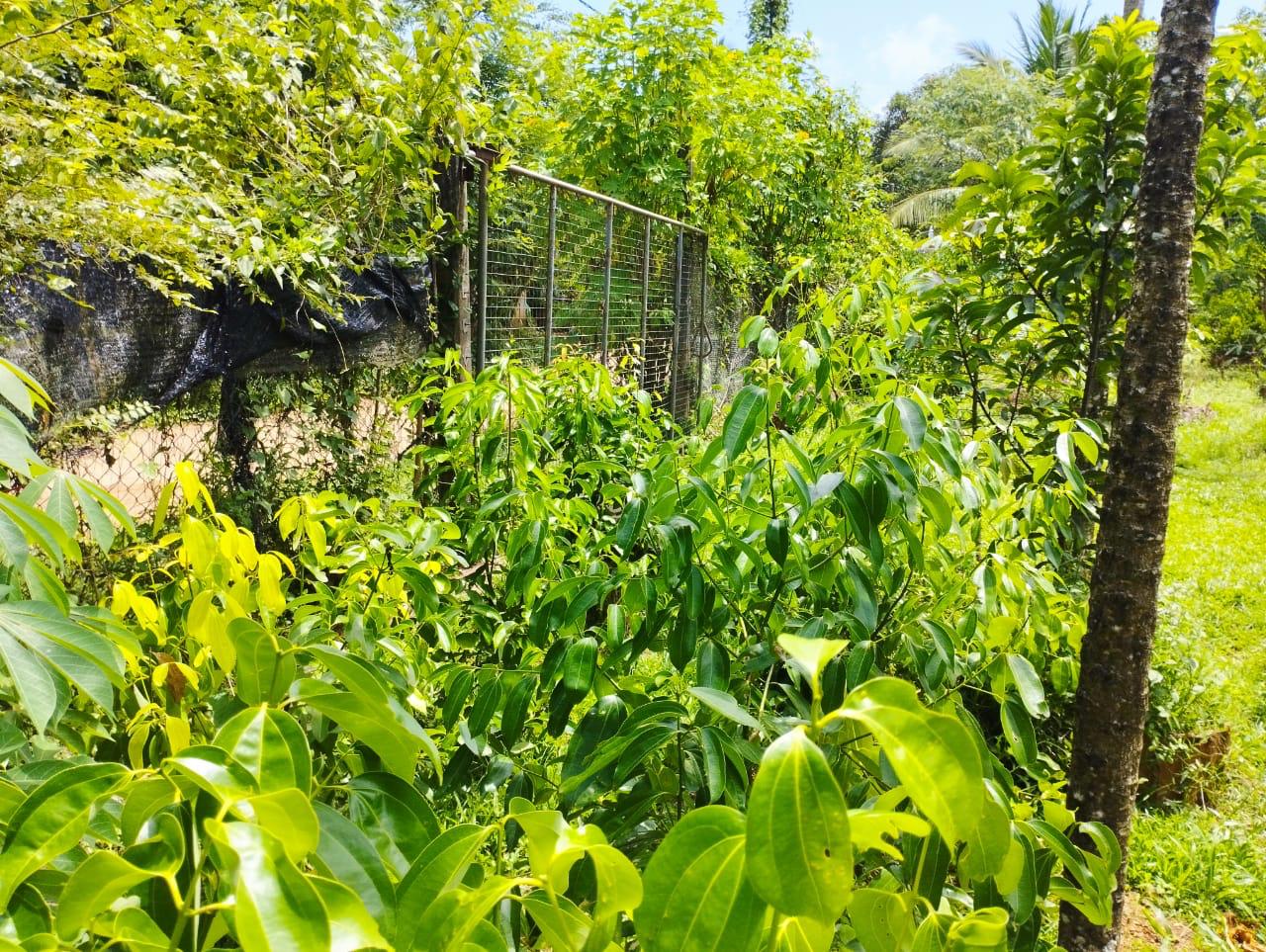 Land For Sale In Kalutara