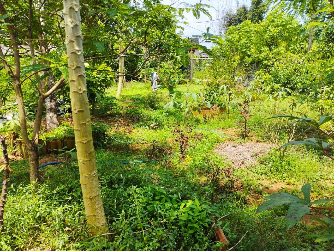 Land For Sale In Kalutara
