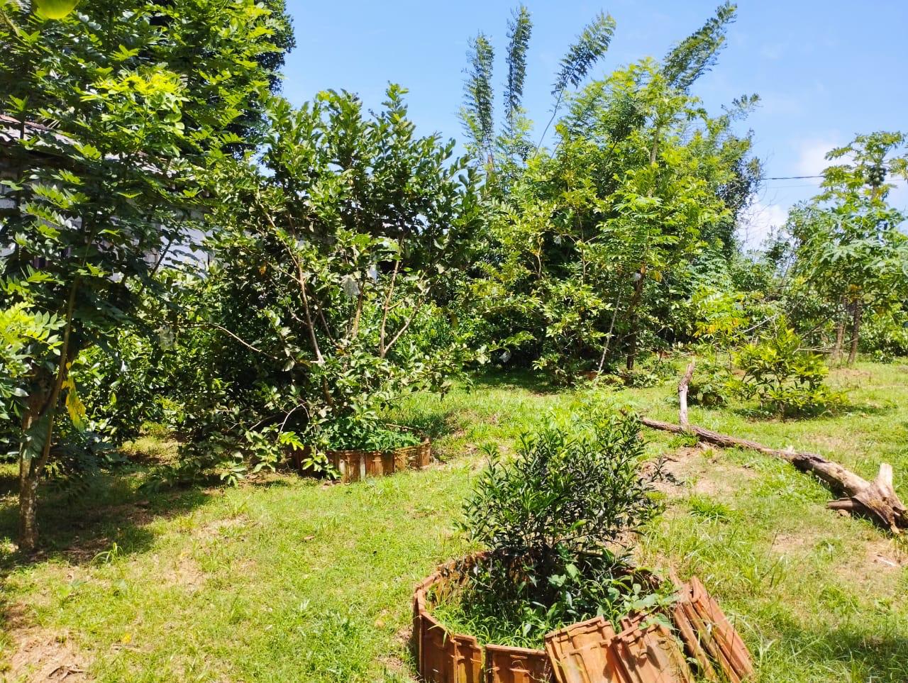 Land For Sale In Kalutara