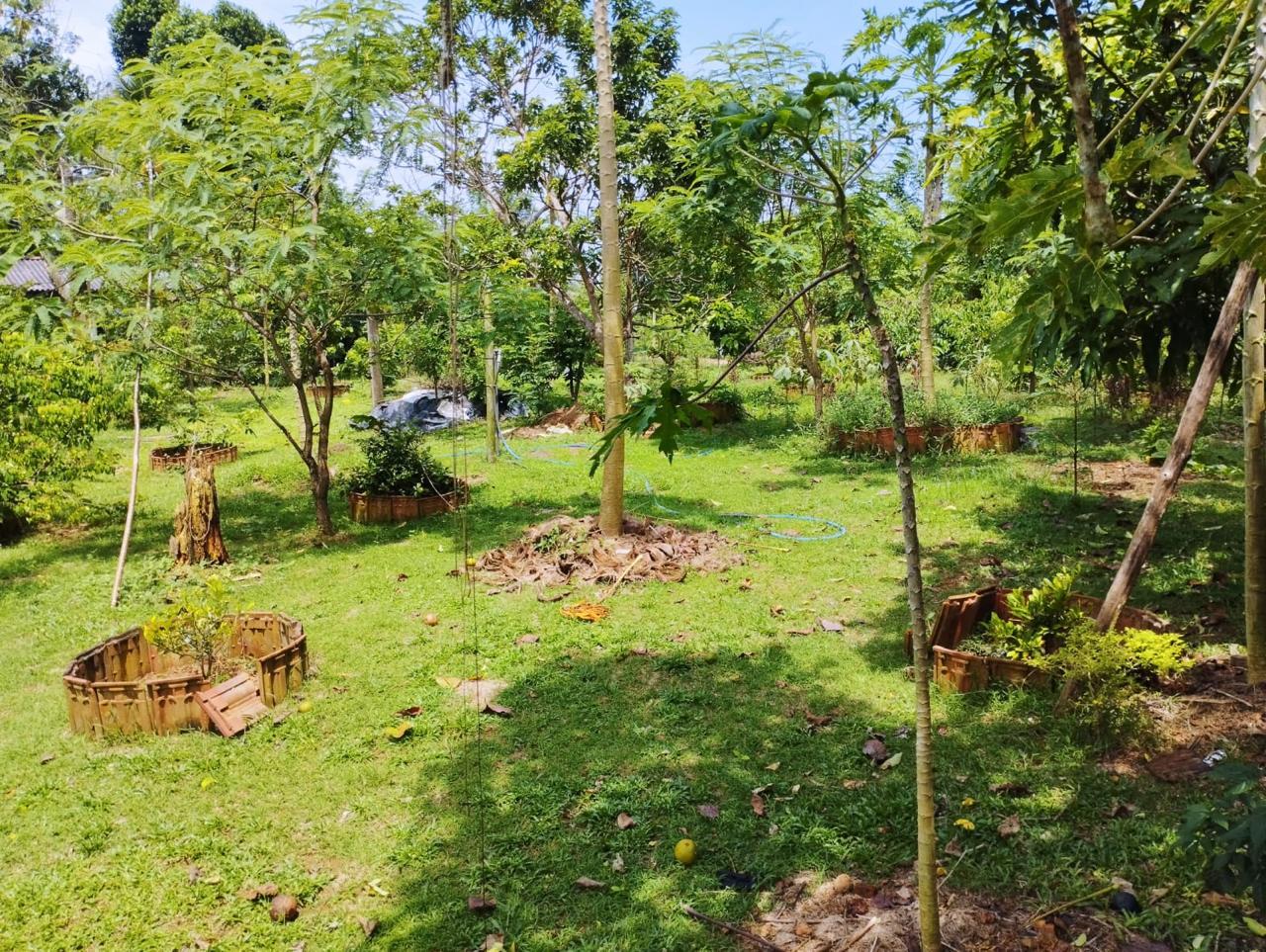 Land For Sale In Kalutara