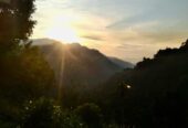 Hotel for Sale in Ella