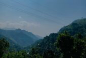 Hotel for Sale in Ella