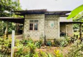 Half-Finished Two-Story Home on 19.6 Perch Land වේයන්ගොඩ