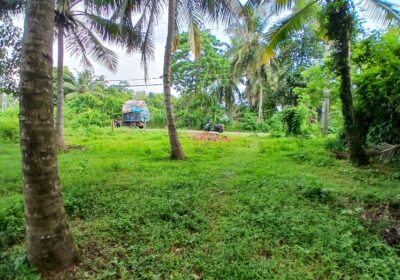 Affordable Land for Sale Near the Main Road – Minuwangoda
