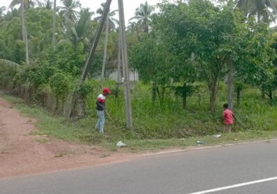 බුන්නැහපොල සරුසාර පොල් ඉඩමක් විකිණීමට ඇත.