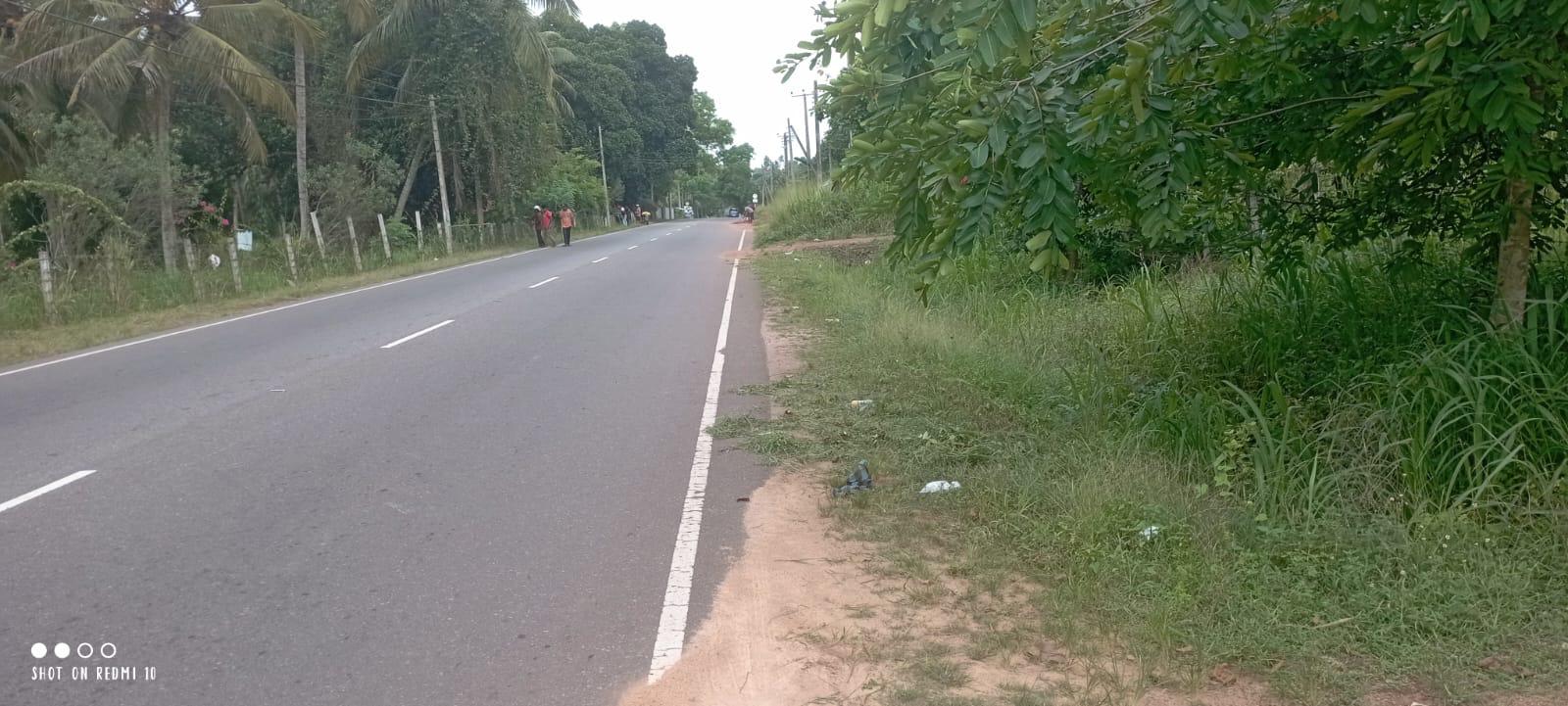 බුන්නැහපොල සරුසාර පොල් ඉඩමක් විකිණීමට ඇත.