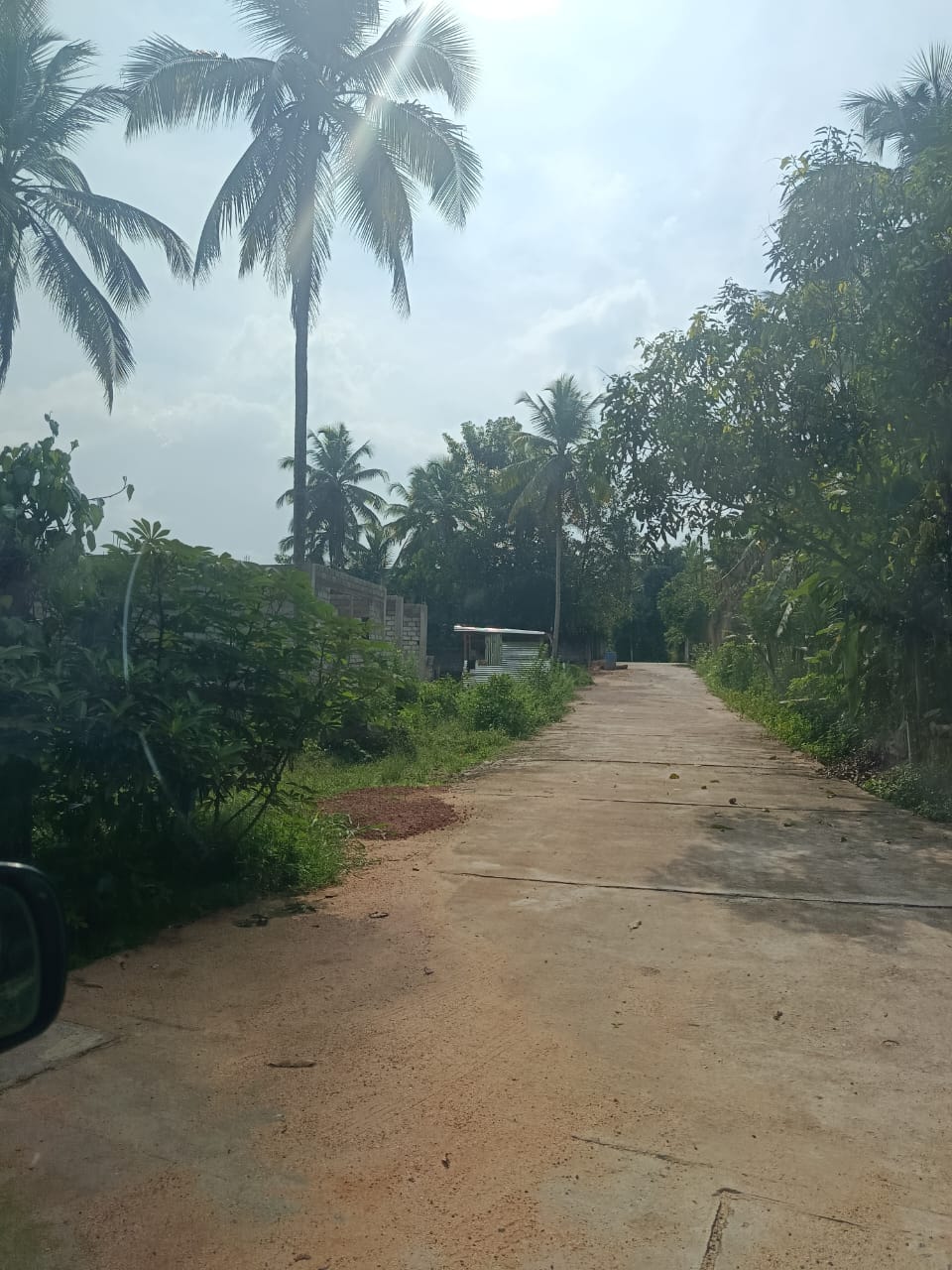 Land for Sale in Miriswaththa