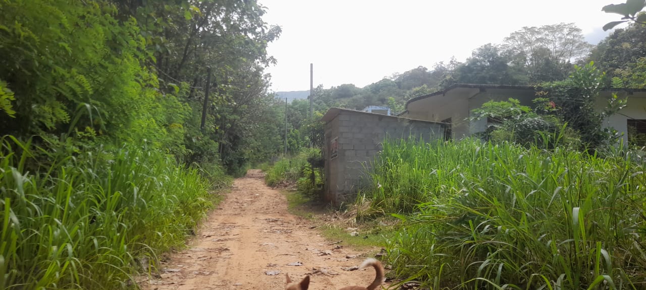 Land for Sale Wellawaya