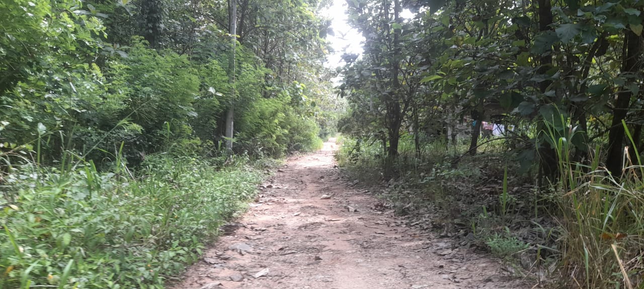 Land for Sale Wellawaya