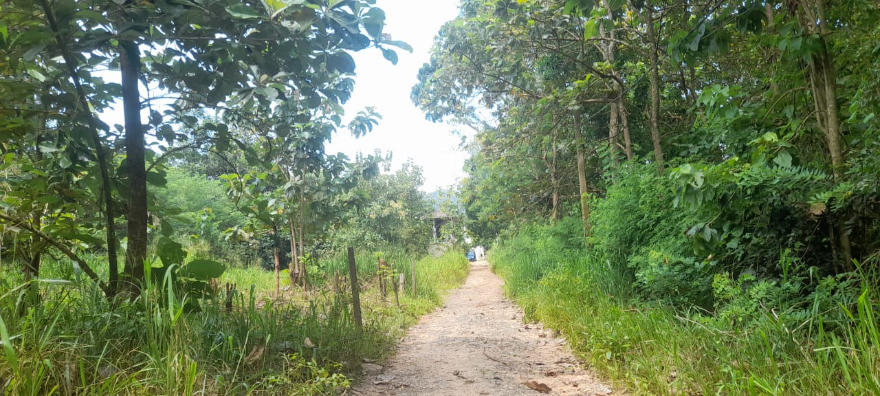 Land for Sale Wellawaya