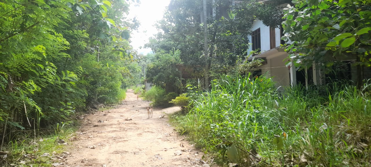 Land for Sale Wellawaya