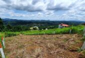 Scenic Land for Sale – Peradeniya