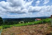Scenic Land for Sale – Peradeniya