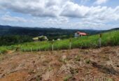 Scenic Land for Sale – Peradeniya