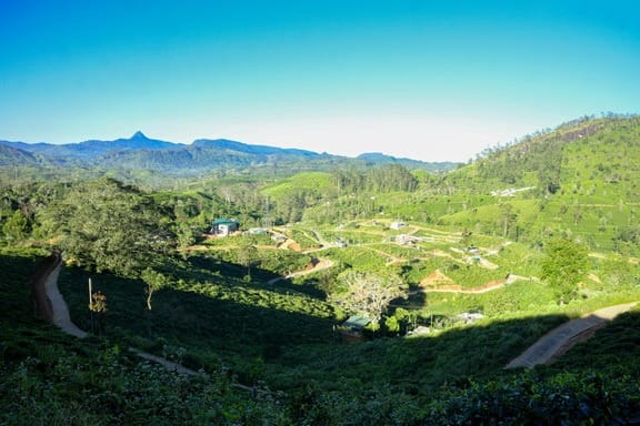 Beautiful land plot for sale in Hatton.