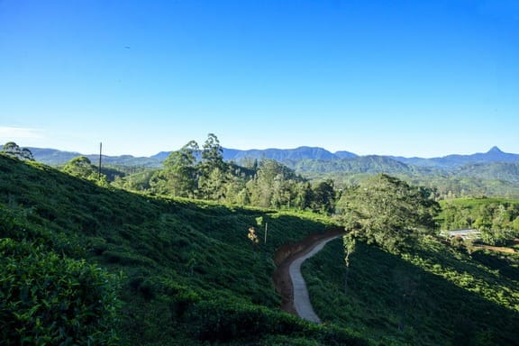 Beautiful land plot for sale in Hatton.