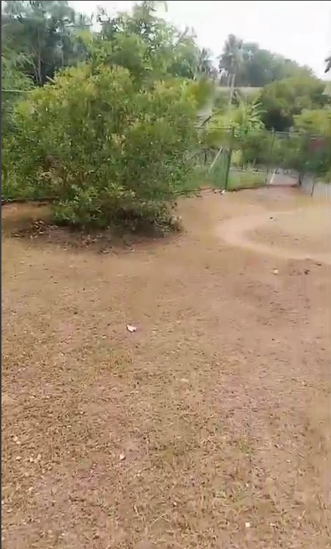 Land For sale In Piliyandala (Gonapola)