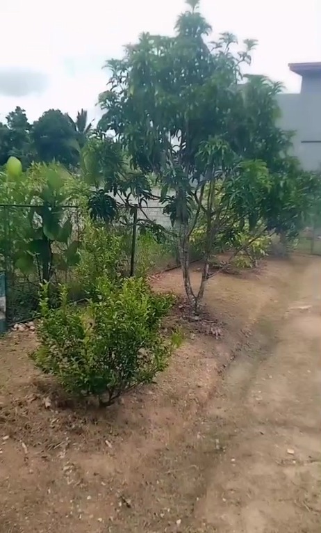 Land For sale In Piliyandala (Gonapola)