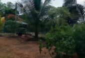 Land For sale In Piliyandala (Gonapola)