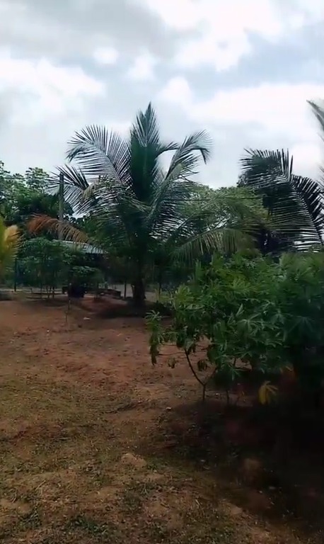 Land For sale In Piliyandala (Gonapola)