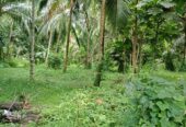 1.5 Acres of Land for Lease in Bandaragama