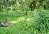 1.5 Acres of Land for Lease in Bandaragama