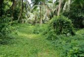 1.5 Acres of Land for Lease in Bandaragama