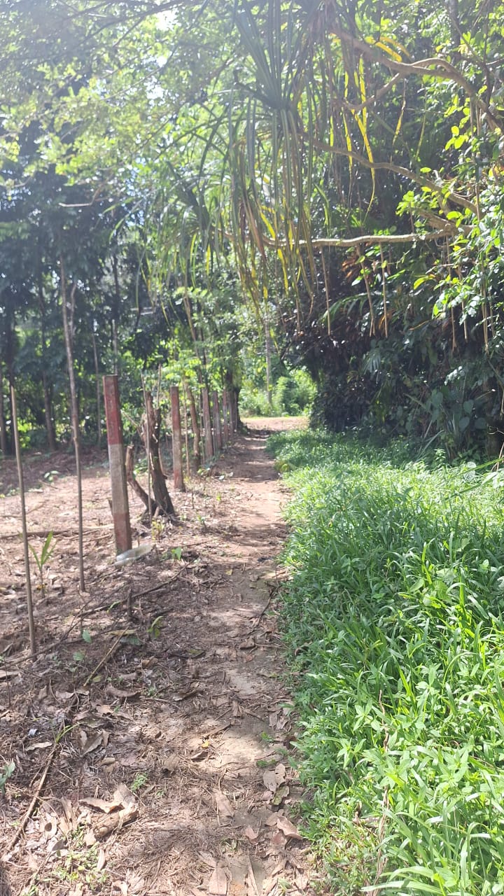 අගනා රබර් ඉඩමක් විකිණීමට  හොරණ