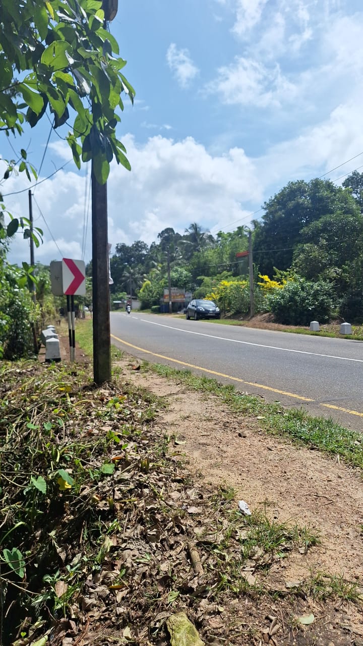 අගනා රබර් ඉඩමක් විකිණීමට  හොරණ