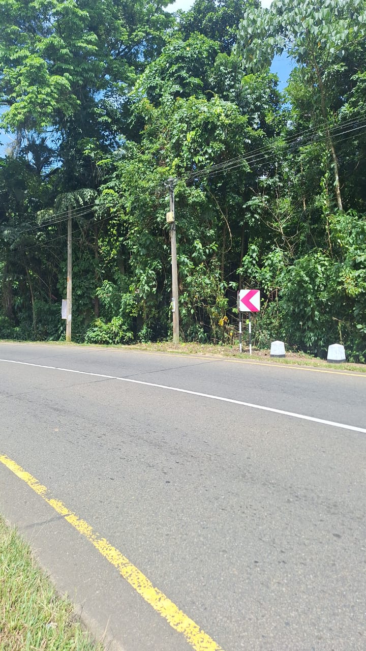 අගනා රබර් ඉඩමක් විකිණීමට  හොරණ