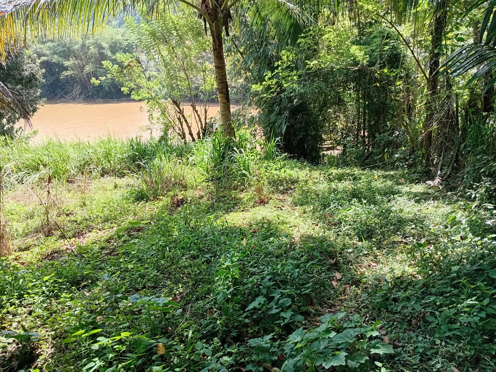 Land for Sale in Gohagoda