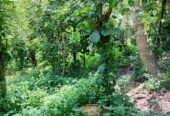 Land for Sale in Gohagoda