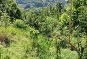 Land for Sale in Gohagoda
