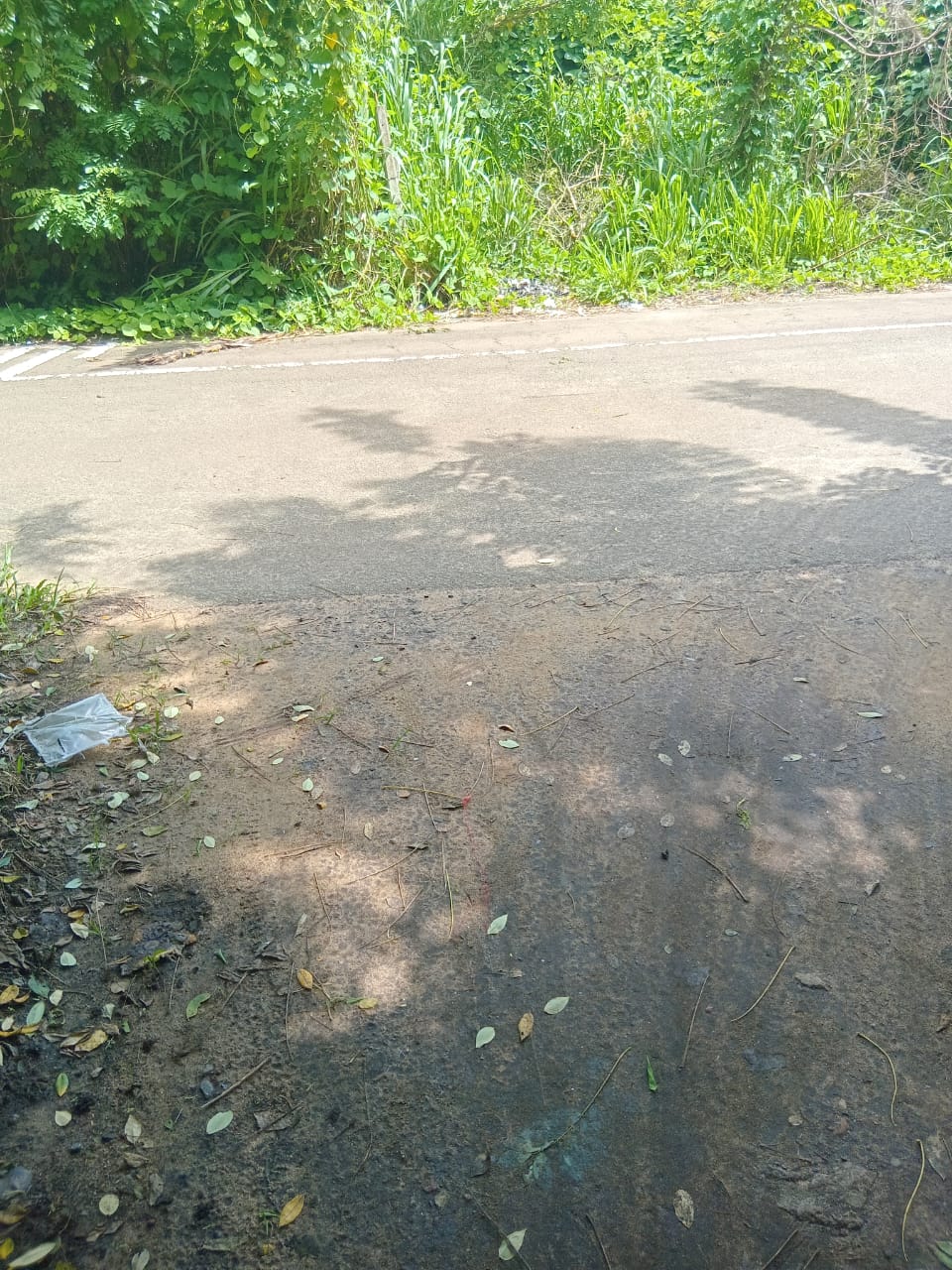 Land for Sal in Gandara